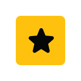 icon star